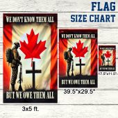 Pwnptjgesk Mln3302f Usflag3size Mockup10.jpg - demo10