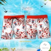 Aarhus Danish Superliga Hawaiian Shirt Emonshop A - demo10