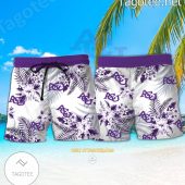 Abilene Christian University Logo Hawaiian Shirt And Shorts Bishop A - demo10