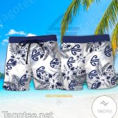 Air New Zealand Logo Hawaiian Shirt And Shorts Emonshop A - demo10