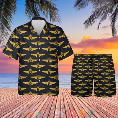Belgian Air Force Badge Hawaiian Shirt, Shorts - Hot Sale 2025