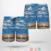 Belgian Air Force General Dynamics Sabca F 16am Fighting Falcon 401 Hawaiian Shirt Shorts 1 2 768x768 1.jpg - demo10