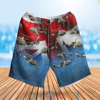 British Army Aerospatiale Gazelle Hawaiian Shirt, Shorts - Hot Sale 2025