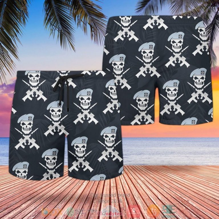 British Army Army Air Corps Hawaiian Shirt, Shorts - Hot Sale 2025