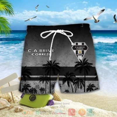 Ca Brive Palm Tree Hawaiian Shirt, Shorts - Hot Sale 2025