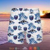 Fc Grenoble Rugby Hawaiian Shirt Beach Short 1 768x768 1.jpg - demo10