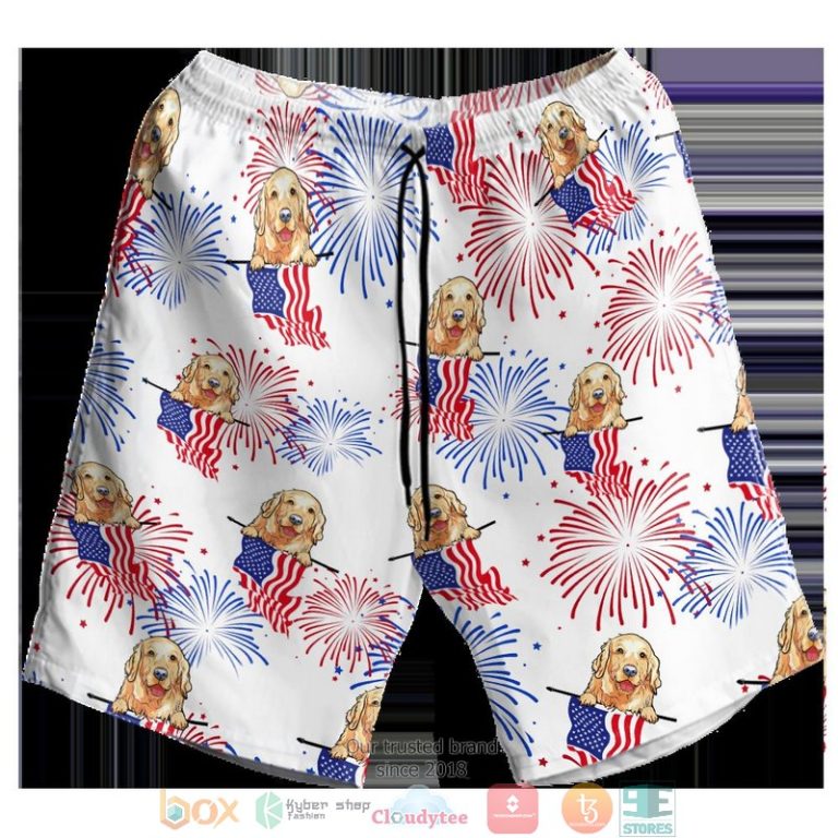 Golden Independence Day Is Coming Hawaiian Shirt, Shorts - Hot Sale 2025