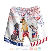 Great Dane Independence Day Hawaiian Shirt Shorts 1 2 768x768 1 1.jpg - demo10