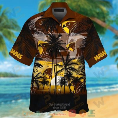 Hawthorn Hawks Hawaiian Shirt And Shorts - Hot Sale 2025