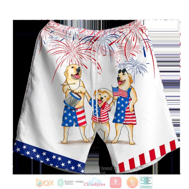 Labrador Family Independence Day Is Coming Hawaiian Shirt, Shorts - Hot Sale 2025
