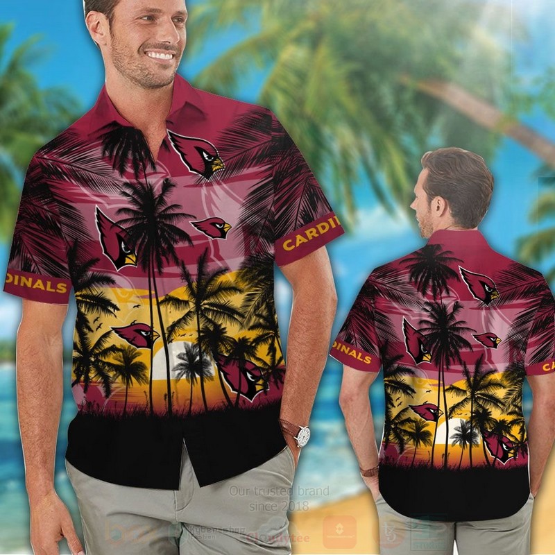 Nfl Arizona Cardinals The Sun And The Sea Hawaiian Shirt, Short - Hot Sale 2025