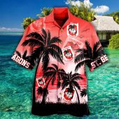 Nrl St. George Illawarra Dragons Palm Tree Sunrise Hawaiian Shirt 3823.jpg - demo10