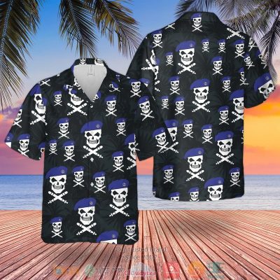 Royal Navy Skull Hawaiian Shirt, Shorts - Hot Sale 2025