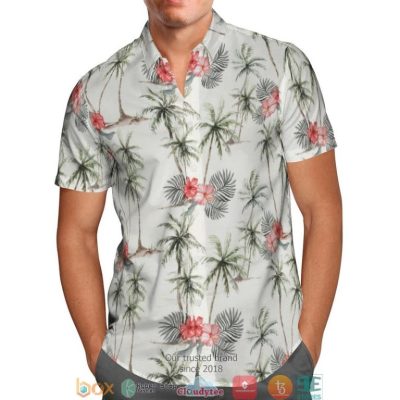 Summer Beach Coconut Grey Hawaiian Shirt, Short - Hot Sale 2025