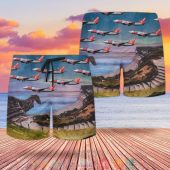 Uk Airlines Jet2 Boeing 737 800 Hawaiian Shirt Shorts 1 768x768 1.jpg - demo10