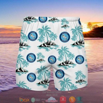 Wycombe Wanderers Hawaiian Shirt, Beach Short - Hot Sale 2025