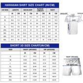Si?y Powietrzne Sar Pzl W-3 Soko?? Hawaiian Shirt, Short - Hot Sale 2025