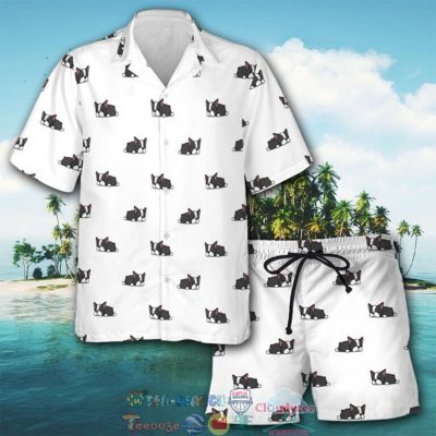 Boston Terrier Cute Art Hawaiian Shirt And Shorts - Hot Sale 2025