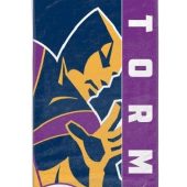 NRL Melbourne Storm Beach Towel V3