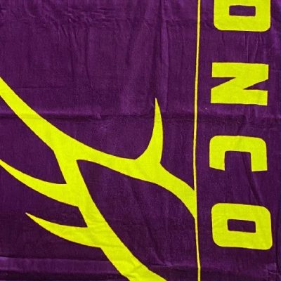 NRL Canberra Raiders Team Logo Beach Towel V2