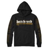 Hatebreed Born To Bleed Fighting To Succeed Pullover Hoodie Front.jpg - demo10