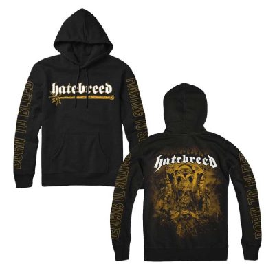 Hatebreed Born to Bleed, Fighting to Succeed Pullover Hoodie