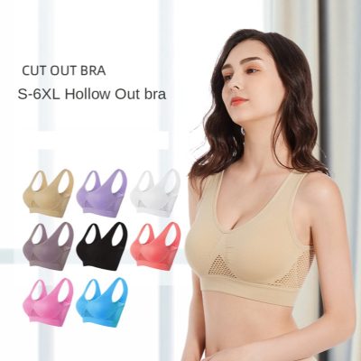 Seamless Push-Up Sports Bra – Push Up Padded Breathable Workout Top (M–6XL) for Yoga, Running & Fitness