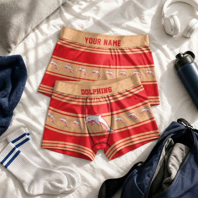 Custom Name NRL Dolphins Men boxer briefs v1