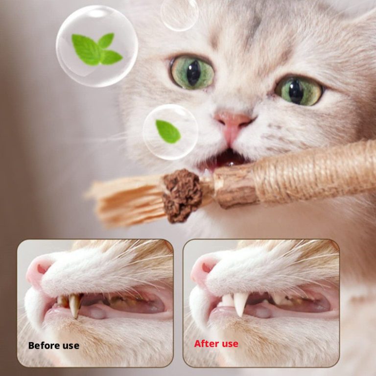 Silvervine Cat Dental Chew Stick