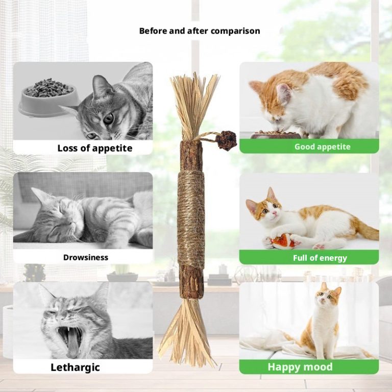 Silvervine Chew Stick for Cats